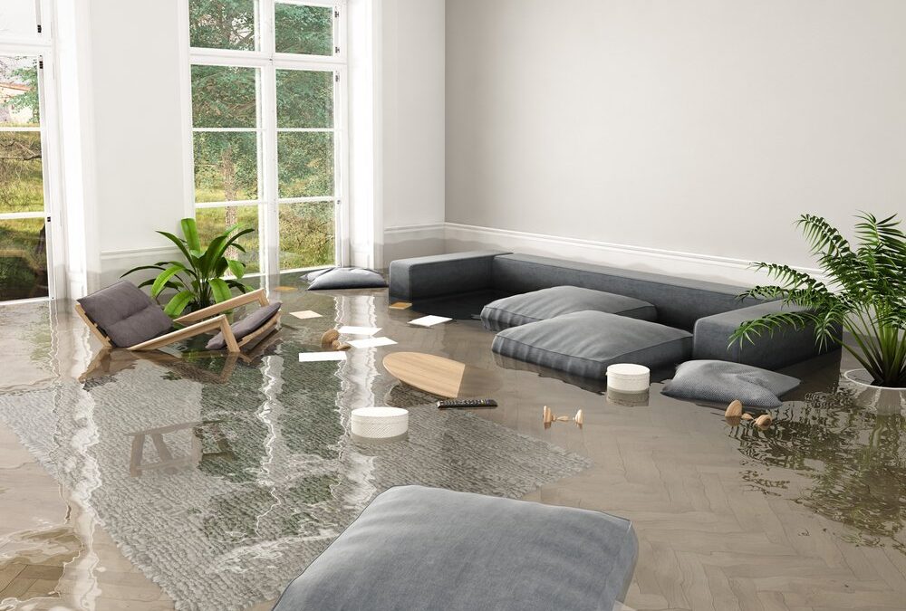 7 Warning Signs You Need Stucco Remediation Contractors Before Water Damage Spreads