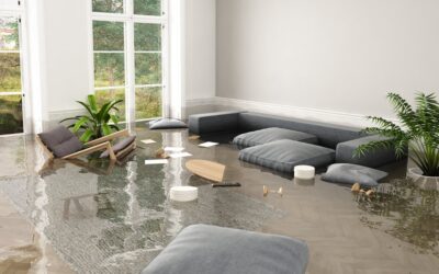 7 Warning Signs You Need Stucco Remediation Contractors Before Water Damage Spreads